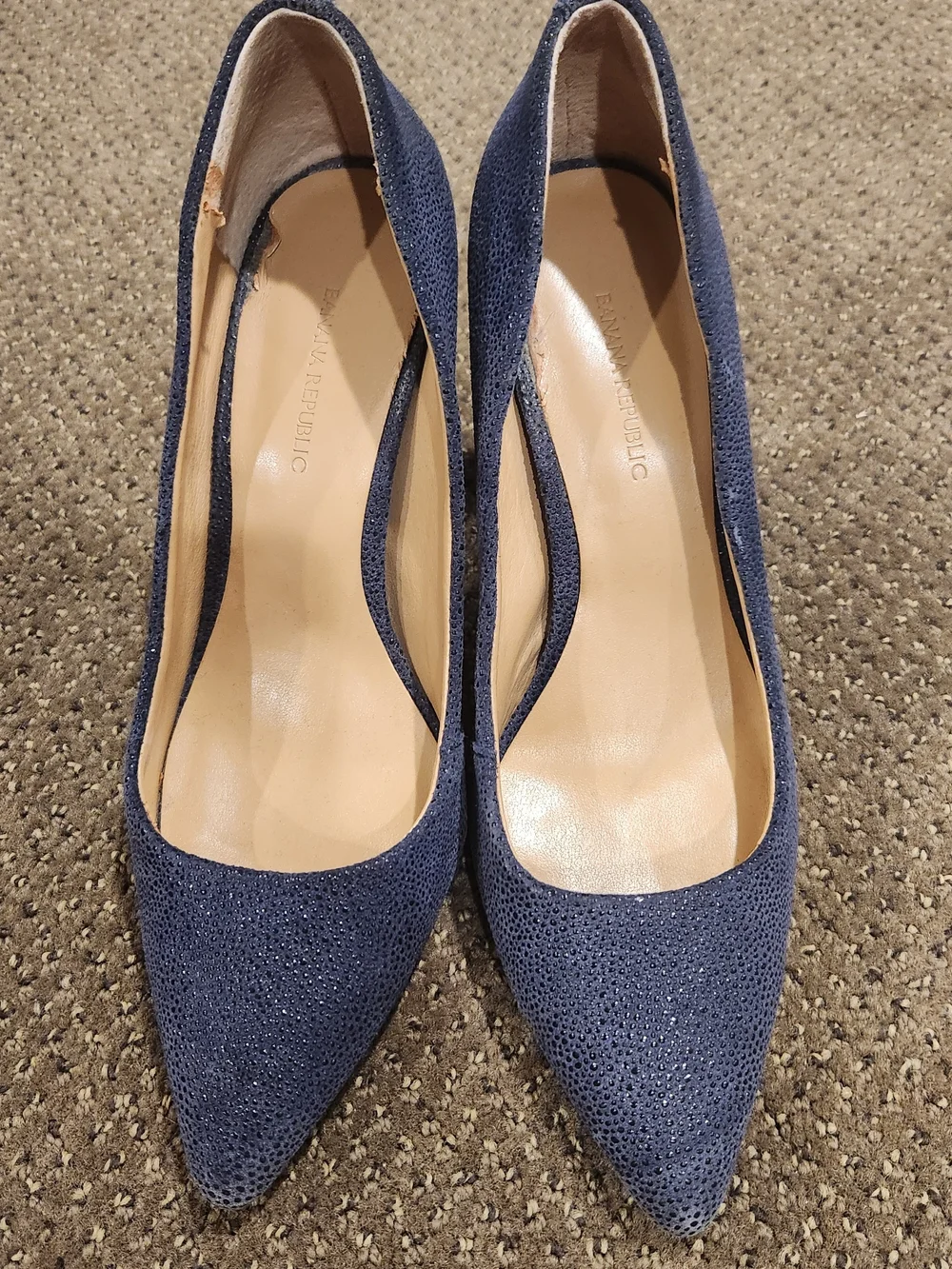 Banana Republic Navy Pointed Block Heel Pumps